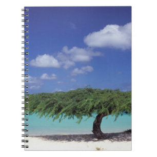 Caribisch gebied, Aruba. Eagle Beach Notitieboek