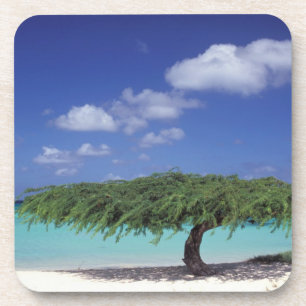 Caribisch gebied, Aruba. Eagle Beach Onderzetter