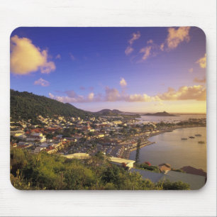 Caribisch gebied, Franse West-Indië, St. Martin. Muismat