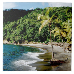 Caribisch gebied, Kleine Antillen, West-Indië, Sai Tegeltje