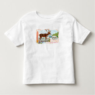 Caribisch gebied (rendieren) en Arctische vos Kinder Shirts