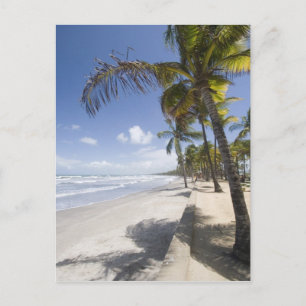 Caribisch gebied - Trinidad - Manzanilla Beach aan Briefkaart