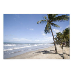 Caribisch gebied - Trinidad - Manzanilla Beach aan Foto Afdruk