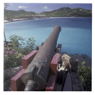CARIBISCH, St. Barts, Connon gericht op Baai van Tegeltje