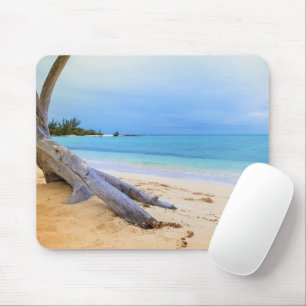 Caribisch strand muismat