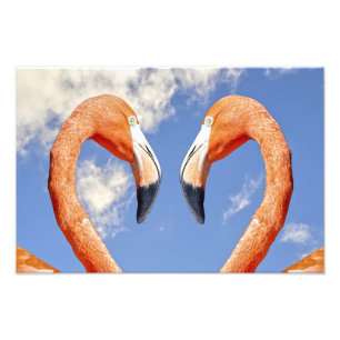 Caribische flamingo liefdeshart foto afdruk
