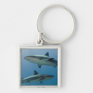 Caribische rifhaai sleutelhanger