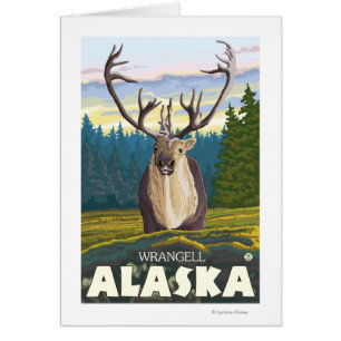 Caribou dans le sauvage - Wrangell, Alaska