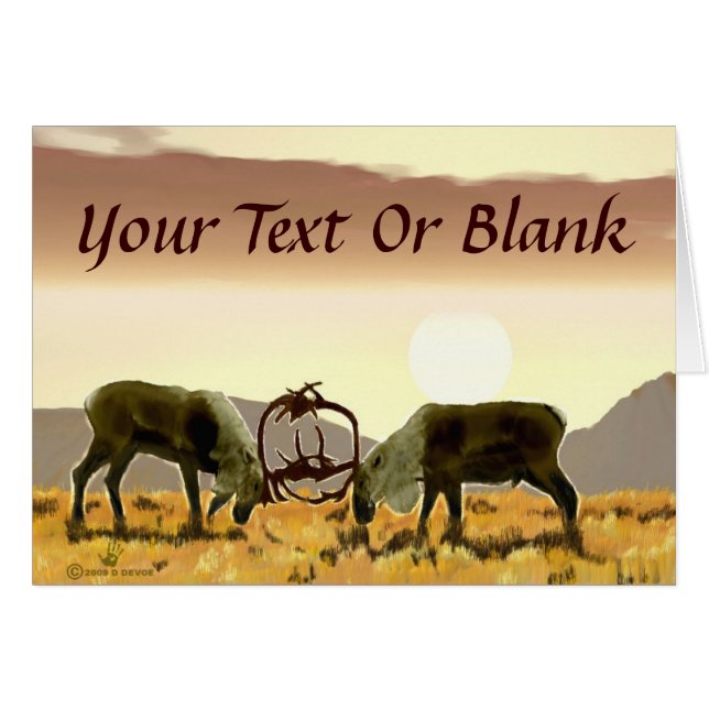 Caribou Duel (Devant horizontal)