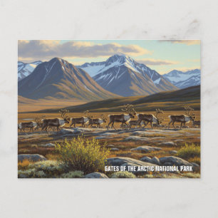 Caribou in de poorten van het Arctic National Park Briefkaart