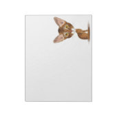 Caricature Abyssinian Notitieblok (Gedraaid)