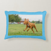 Caricature d'érable et coussin de la vie réelle (Dos)