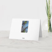 Carillons éoliens et carte d'anniversaire Magnolia (Dos)