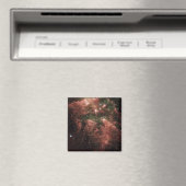 Carina Nebula Magneet (Insitu (Vaatwasser))