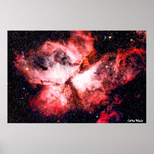 Carina-nevel Poster