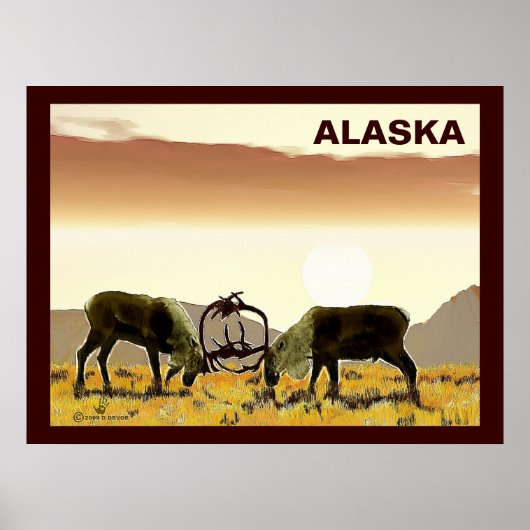 Cariou Duel - Alaska Poster (Voorkant)