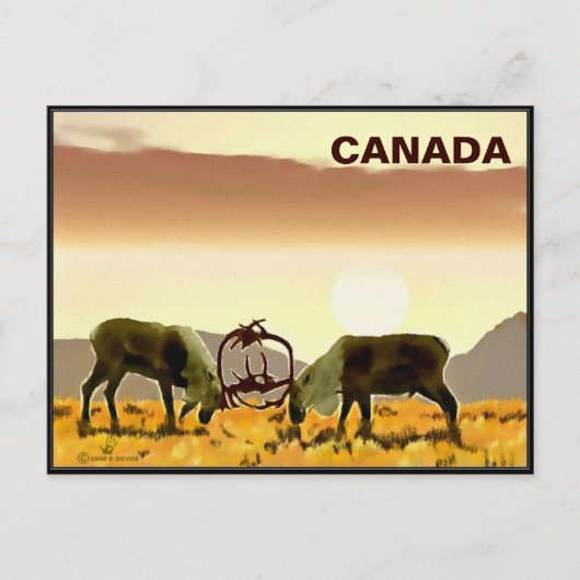 Cariou Duel - Canada Briefkaart (Voorkant)