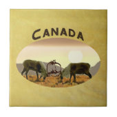 Cariou Duel - Canada Tegeltje (Voorkant)