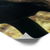 Cariou Poster (Hoek)