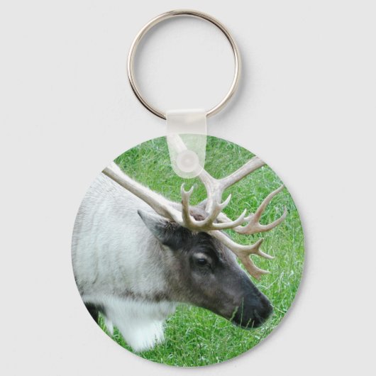 Cariou Sleutelhanger (Voorkant)