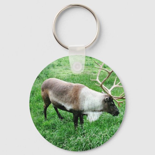 Cariou Sleutelhanger (Voorkant)