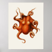 Carl Chun  Octopus Illustratie Marine Poster (Voorkant)