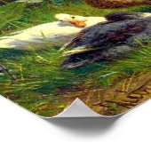 Carl Jutz Ducks Poster (Hoek)