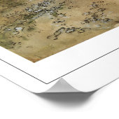 Carl Larsson Zedign Affiche artistique #261 (Coin)