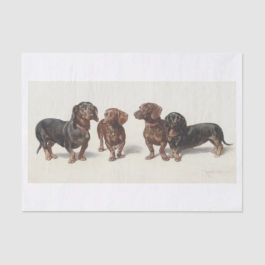 Carl Richert | Dachshund Dogs Oil Painting Tissuepapier (Voorkant)