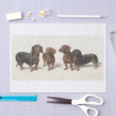 Carl Richert | Dachshund Dogs Oil Painting Tissuepapier (Craft)