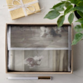 Carl Richert | Katten Kittens Parrot Bird Tissuepapier (Geschenk)