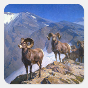 Carl Rungius Big Horn Sheep op Wilcox Pass Vierkante Sticker