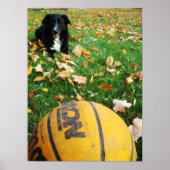 Carlee Poster (Voorkant)