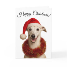 Carlin blanc en chapeau de Père Noël carte de Noël