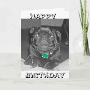 Carlin Bonne carte d'anniversaire