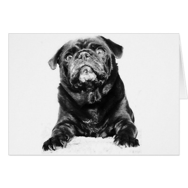 Carlin - CARLIN noir noir noir & blanc (Devant horizontal)