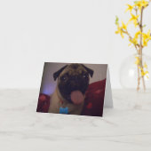 Carlin carte d'accueil Machi (Fleur jaune)