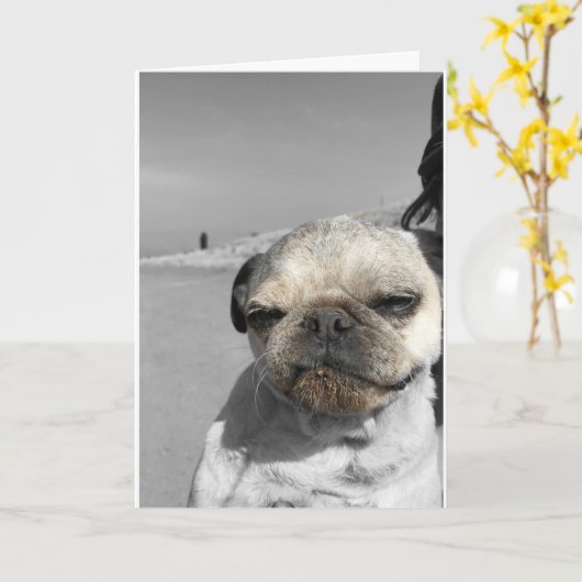 Carlin carte d'anniversaire Obtenir sale (Fleur jaune)