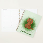 Carlin Cavalier King Charles Spaniel Ruby de coule (Devant avec enveloppe)