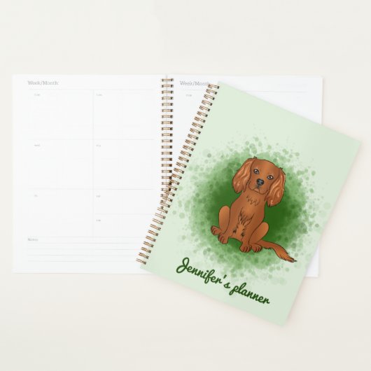 Carlin Cavalier King Charles Spaniel Ruby de coule (Devant avec enveloppe)