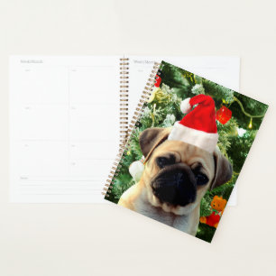 Carlin Chien Chien Chien de Noël Arbre de Noël Orn