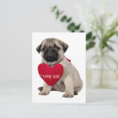 Carlin Chien Chien Chien Salutation Carte postale (Debout devant)