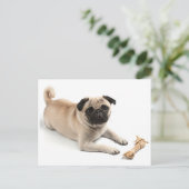 Carlin Chien Chien Chien Salutation Carte postale (Debout devant)