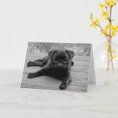 Carlin Chien Chien Vierge Carte de note (Fleur jaune)