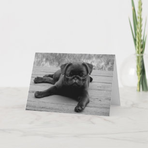 Carlin Chien Chien Vierge Carte de note