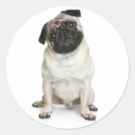 Carlin Chien Chien Voeux Stickers / Étiquettes (Devant)