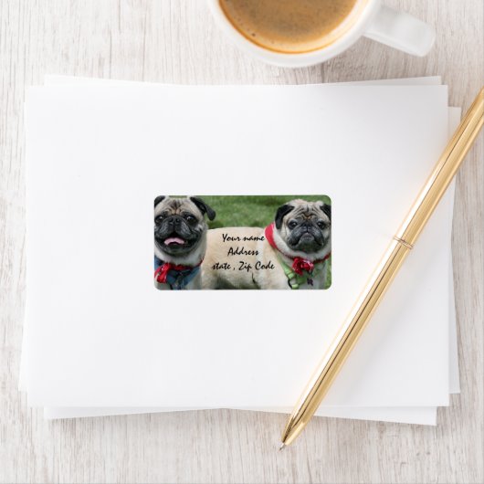 Carlin chiens expédier étiquettes (En situation)