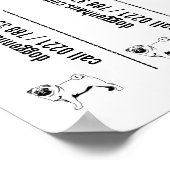 Carlin chiot à vendre poster modèles (Coin)