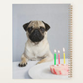 Carlin d'anniversaire (Dos)
