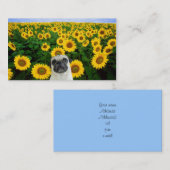 Carlin dans des cartes de visite de tournesols (Devant / Derrière)